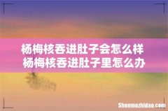 杨梅核吞进肚子会怎么样 杨梅核吞进肚子里怎么办