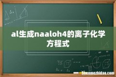 al生成naaloh4的离子化学方程式