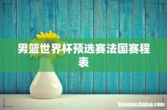 男篮世界杯预选赛法国赛程表