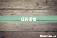 任的读音