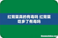 红背菜真的有毒吗 红背菜吃多了有毒吗