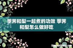 荸荠和梨一起煮的功效 荸荠和梨怎么做好吃