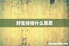 好生侍候什么意思