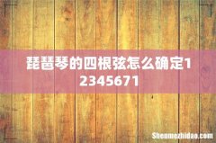 琵琶琴的四根弦怎么确定12345671