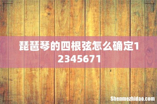 琵琶琴的四根弦怎么确定12345671
