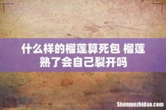 什么样的榴莲算死包 榴莲熟了会自己裂开吗