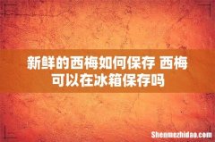 新鲜的西梅如何保存 西梅可以在冰箱保存吗