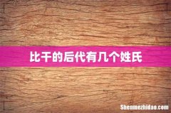 比干的后代有几个姓氏