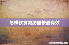 怎样饮食减肥最快最有效
