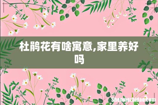 杜鹃花有啥寓意,家里养好吗