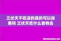 三伏天不吃凉的真的可以排寒吗 三伏天吃什么食物去湿气寒气