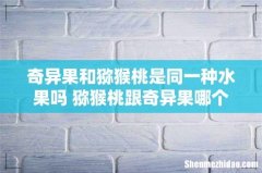 奇异果和猕猴桃是同一种水果吗 猕猴桃跟奇异果哪个好吃