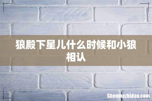 狼殿下星儿什么时候和小狼相认