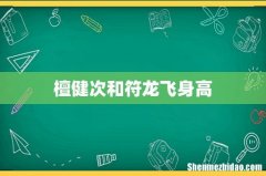 檀健次和符龙飞身高
