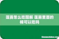 莲雾怎么吃图解 莲雾里面的棉可以吃吗