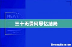 三十无畏何思忆结局