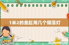 1米2的鱼缸用几个爆藻灯