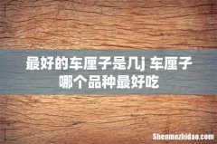 最好的车厘子是几j 车厘子哪个品种最好吃