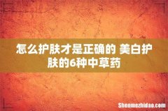 怎么护肤才是正确的 美白护肤的6种中草药