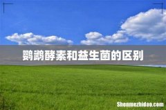 鹦鹉酵素和益生菌的区别