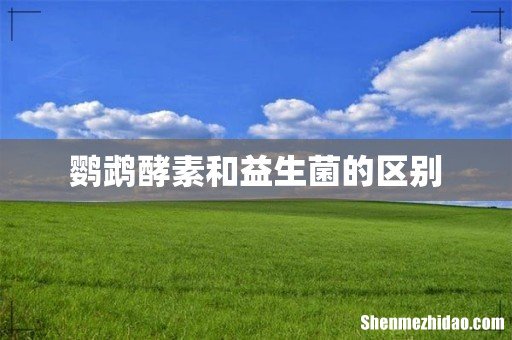 鹦鹉酵素和益生菌的区别