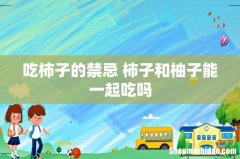 吃柿子的禁忌 柿子和柚子能一起吃吗
