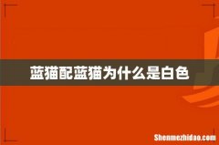 蓝猫配蓝猫为什么是白色