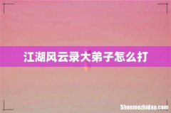 江湖风云录大弟子怎么打