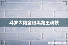 斗罗大陆金眼黑龙王魂技