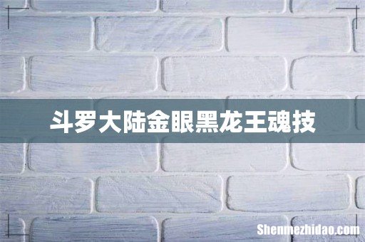 斗罗大陆金眼黑龙王魂技