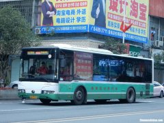番禺客运站的投拆电话是多少 番禺客运站的投拆电话是多少啊