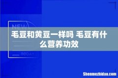 毛豆和黄豆一样吗 毛豆有什么营养功效