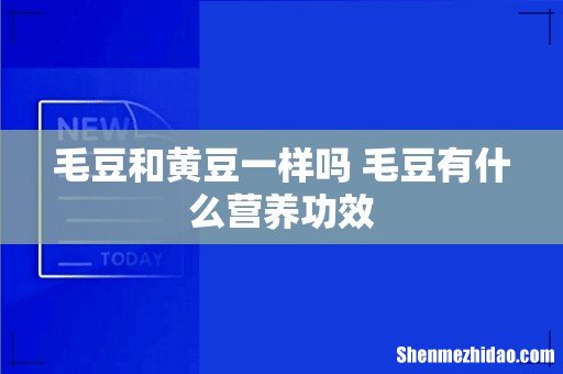 毛豆和黄豆一样吗 毛豆有什么营养功效