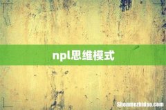 npl思维模式