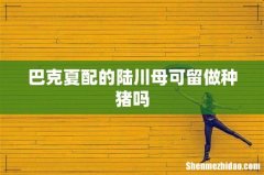 巴克夏配的陆川母可留做种猪吗