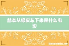 赫本从绿皮车下来是什么电影