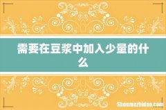 需要在豆浆中加入少量的什么