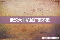 武汉六丰机械厂累不累