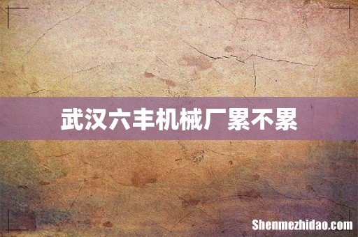 武汉六丰机械厂累不累