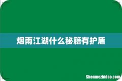 烟雨江湖什么秘籍有护盾