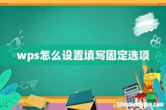wps怎么设置填写固定选项