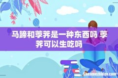 马蹄和荸荠是一种东西吗 荸荠可以生吃吗