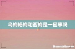 乌梅杨梅和西梅是一回事吗