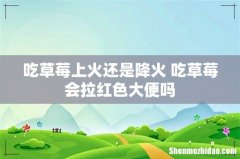 吃草莓上火还是降火 吃草莓会拉红色大便吗