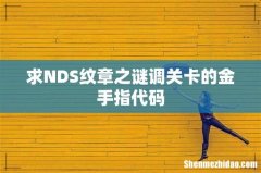 求NDS纹章之谜调关卡的金手指代码