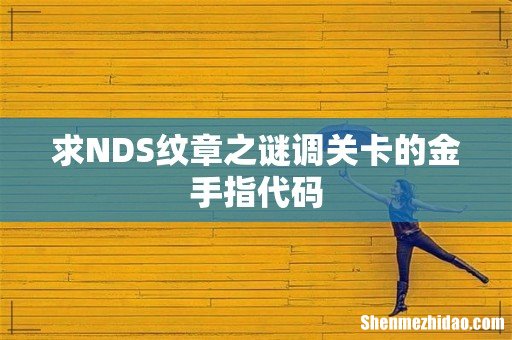 求NDS纹章之谜调关卡的金手指代码