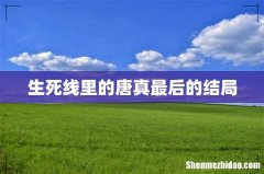 生死线里的唐真最后的结局