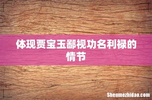 体现贾宝玉鄙视功名利禄的情节