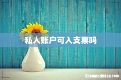 私人账户可入支票吗