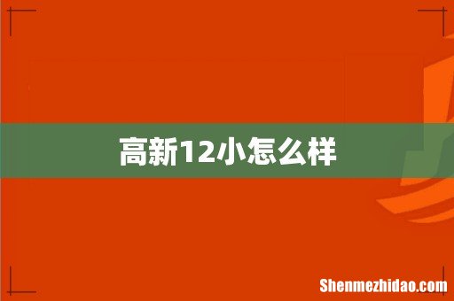 高新12小怎么样